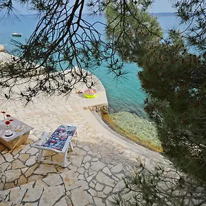 https://apartments-mitrovic-tribanj-kruscica.hotelinzadar.com